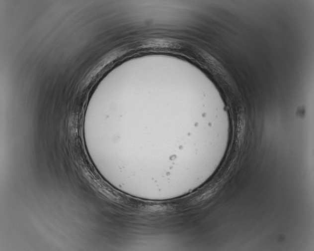 X0000116111017200912211628