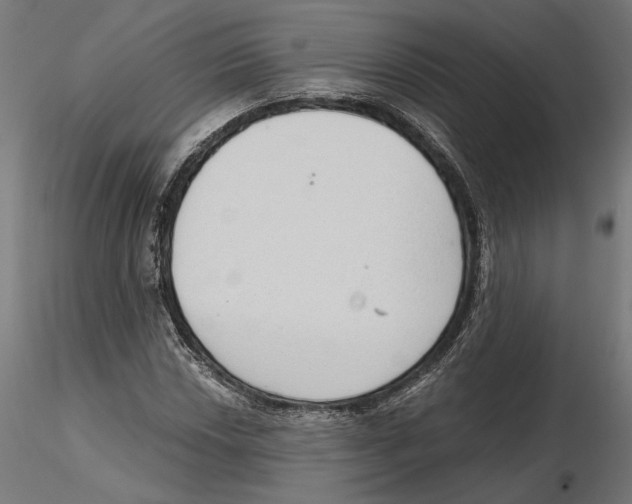 X0000116111018200912211628