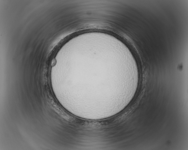X0000116111019200912211628