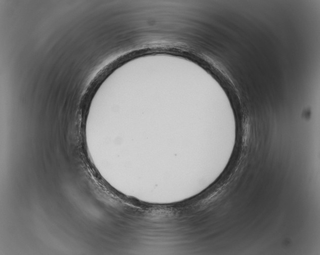 X0000116111021200912211628