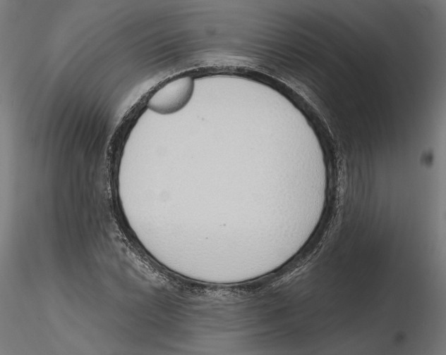 X0000116111022200912211628