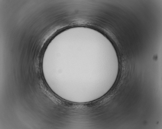 X0000116111023200912211628