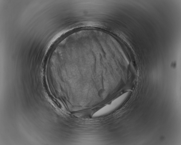 X0000116111024200912211628