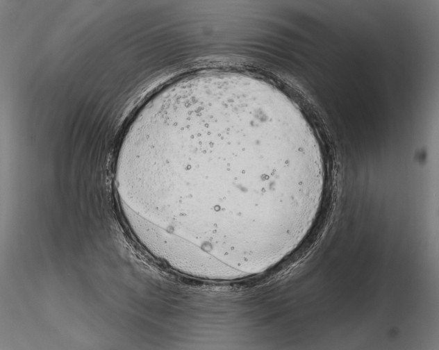 X0000116111025200912211628