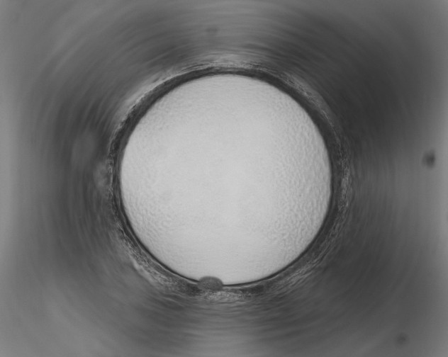 X0000116111027200912211628