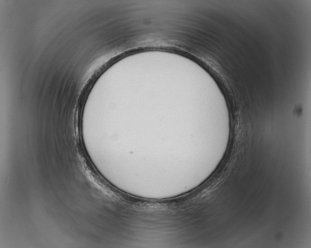 X0000116111030200912211628