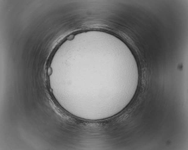 X0000116111031200912211628