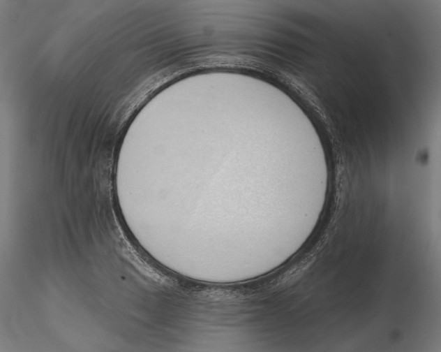 X0000116111033200912211628