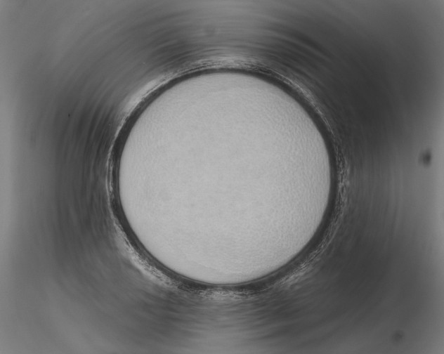 X0000116111034200912211628