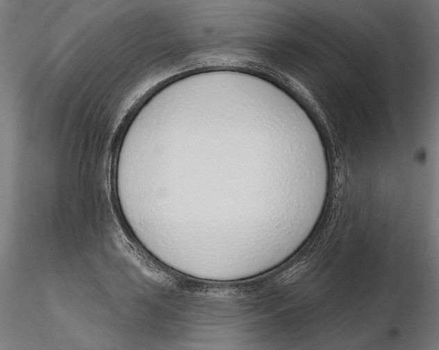 X0000116111035200912211628