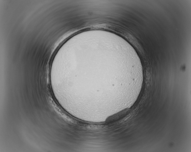 X0000116111036200912211628