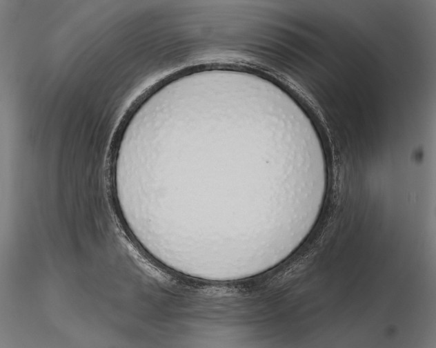 X0000116111037200912211628