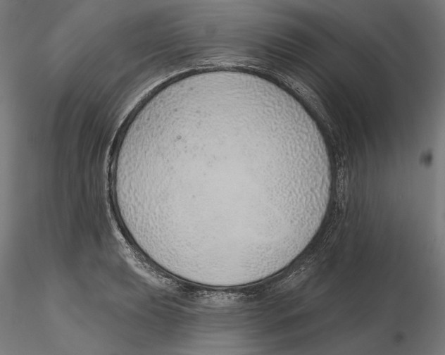 X0000116111039200912211628