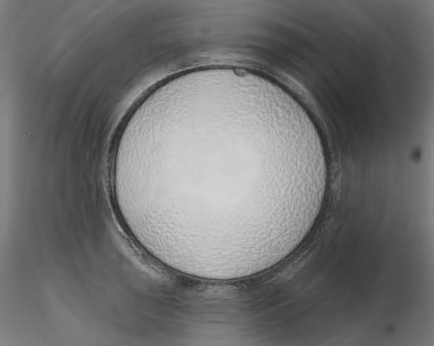 X0000116111043200912211628