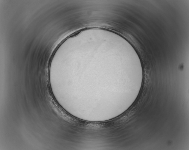 X0000116111044200912211628