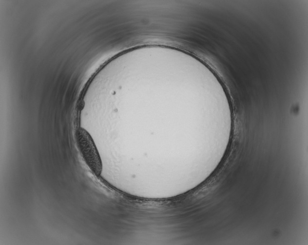 X0000116111048200912211628