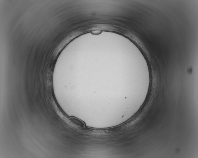X0000116111049200912211628