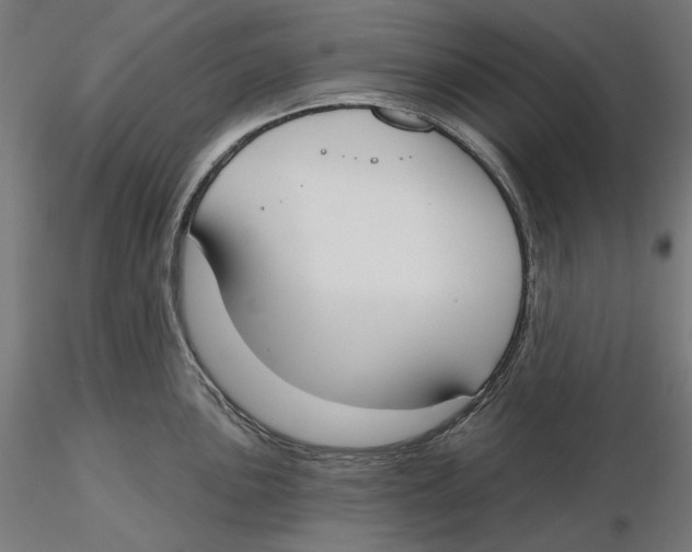 X0000116111051200912211628