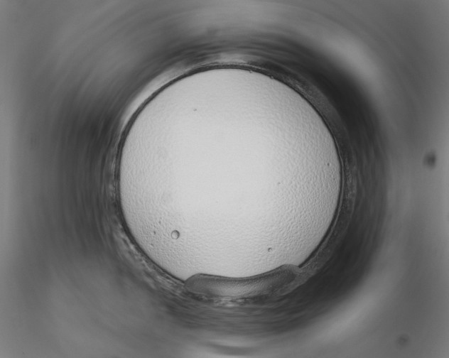 X0000116111052200912211628
