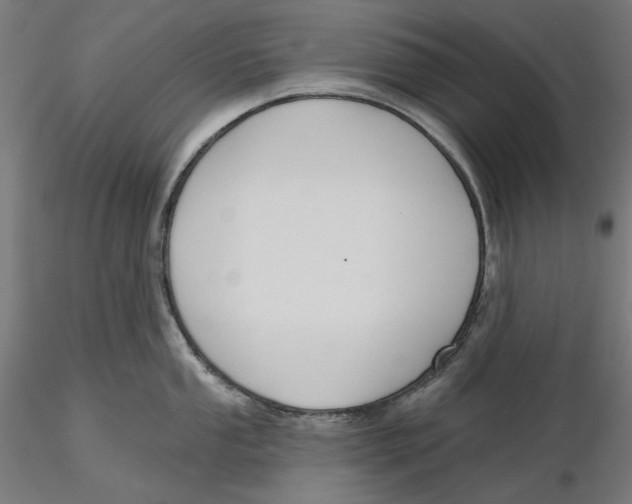 X0000116111053200912211628