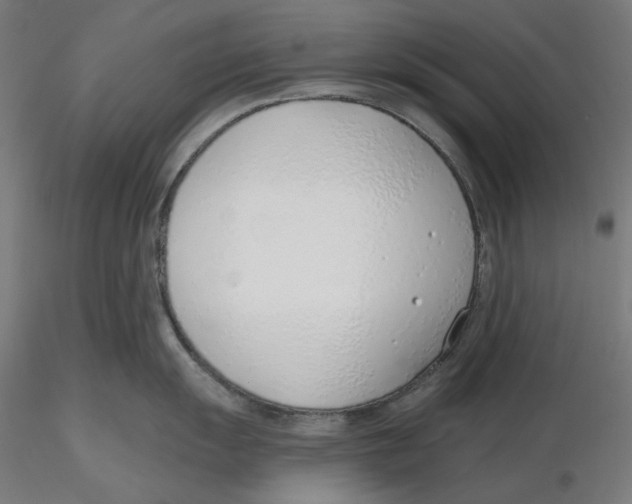 X0000116111055200912211629
