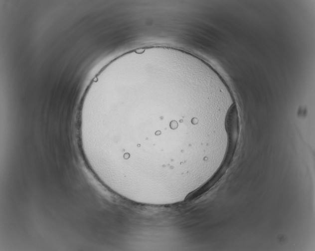 X0000116111056200912211629