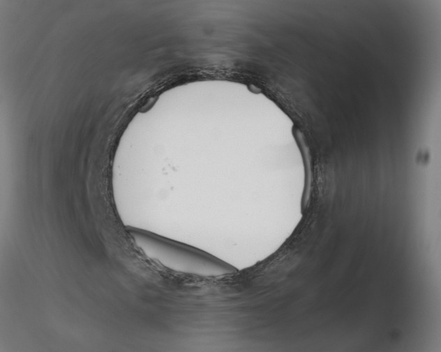 X0000116111057200912211628