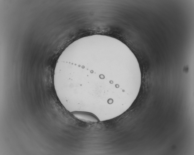 X0000116111058200912211628