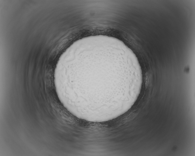X0000116111059200912211628