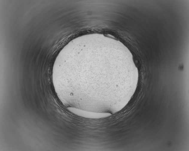X0000116111060200912211628
