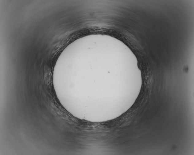 X0000116111061200912211628