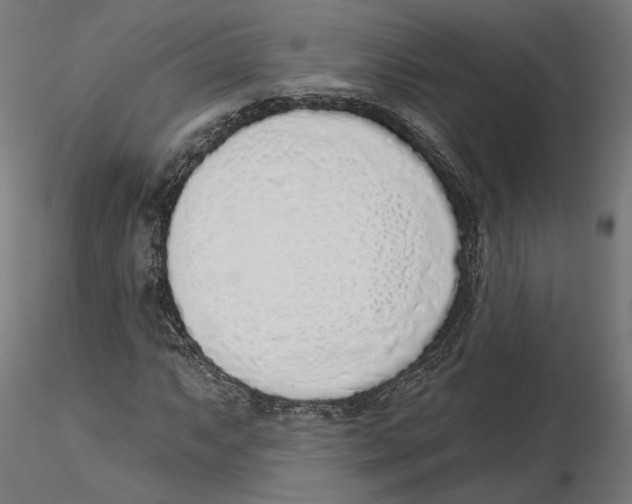 X0000116111063200912211628
