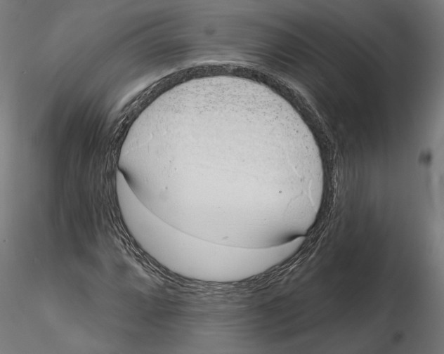 X0000116111064200912211628