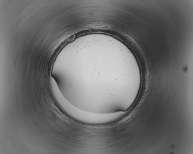 X0000116111065200912211628