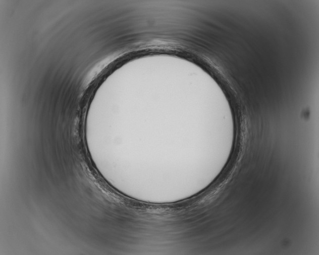 X0000116111066200912211628
