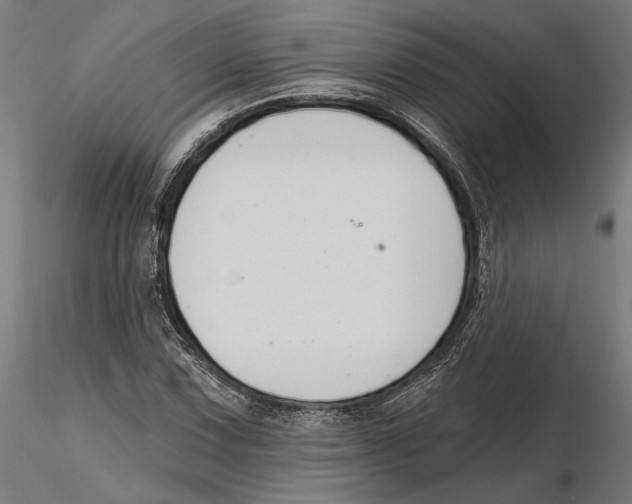 X0000116111067200912211628
