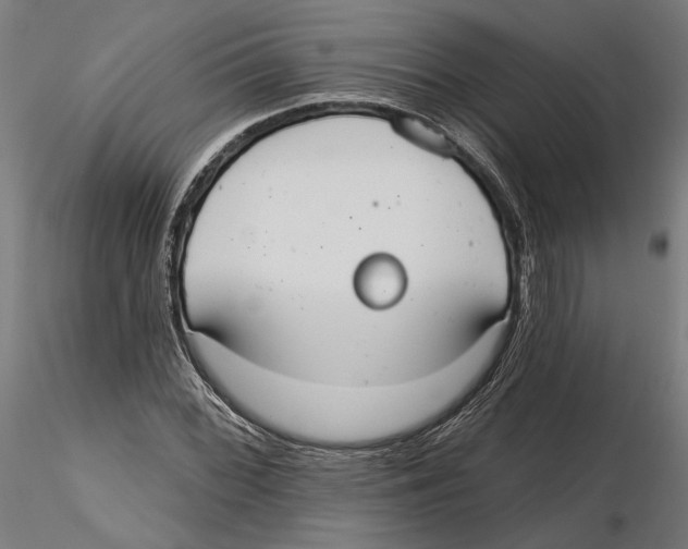 X0000116111068200912211628