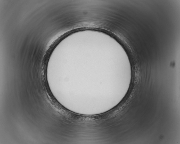 X0000116111070200912211628
