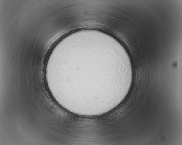 X0000116111071200912211628
