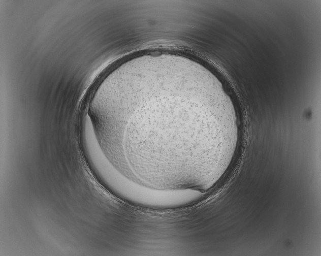 X0000116111075200912211628