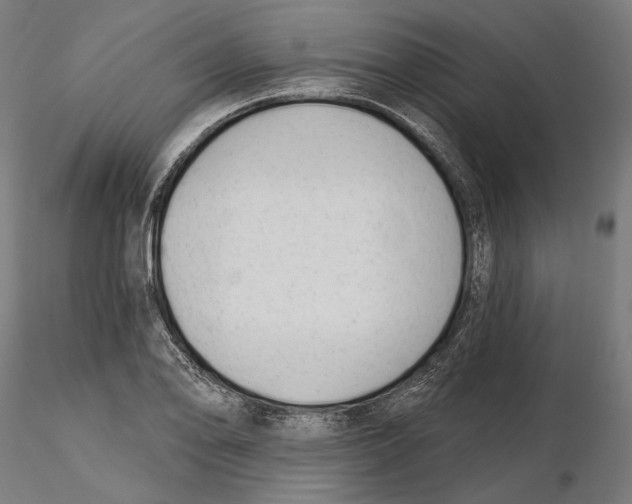 X0000116111078200912211628