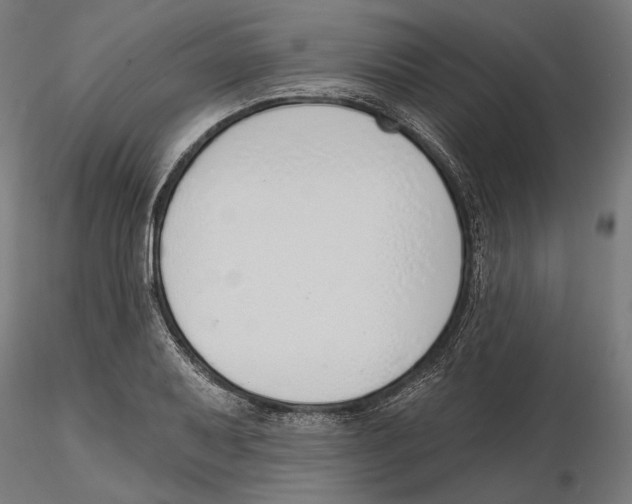 X0000116111079200912211628