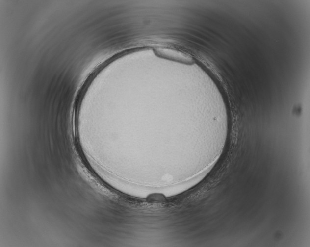 X0000116111080200912211628