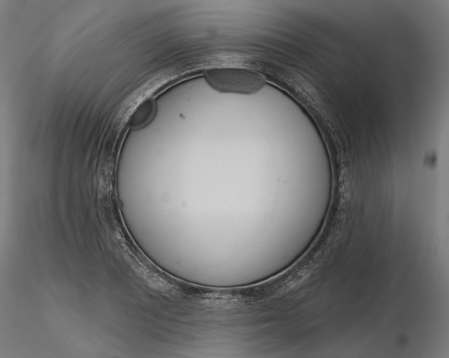 X0000116111081200912211628
