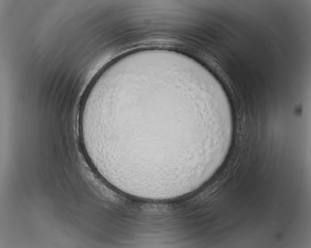 X0000116111083200912211628