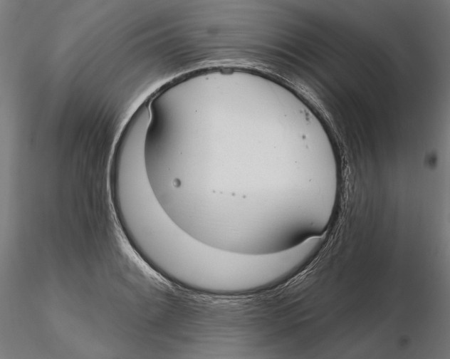 X0000116111084200912211627