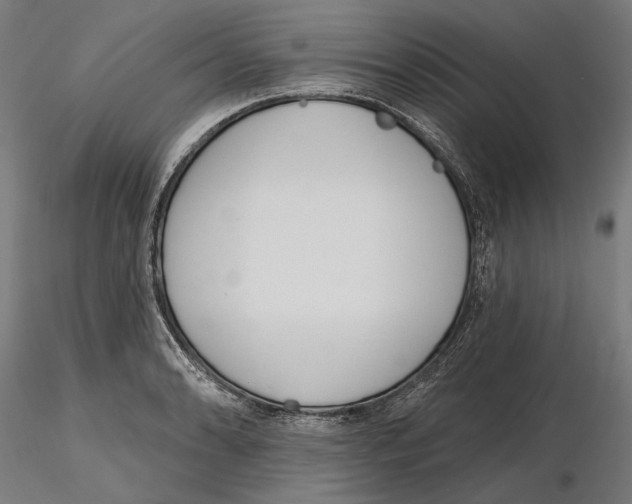 X0000116111086200912211627