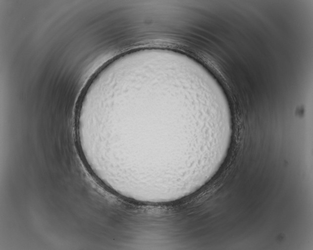 X0000116111087200912211627