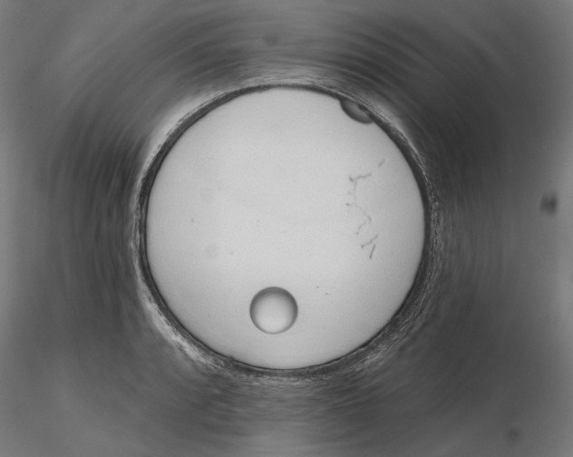 X0000116111088200912211627