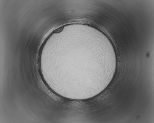 X0000116111091200912211627